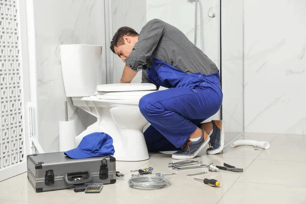 Toilet Repair in Orchid
